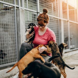 A animal shelter volunteer