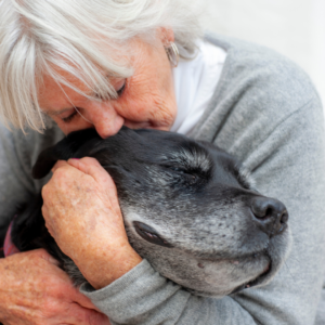A senior dog and their owner snuggling
