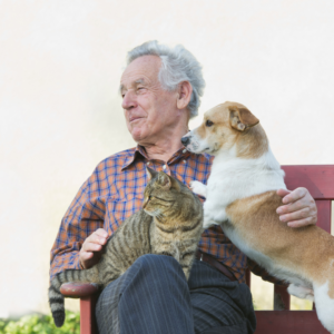 A senior dog and cat with their owner