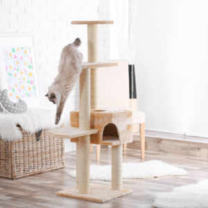 A cat tree/cat condo