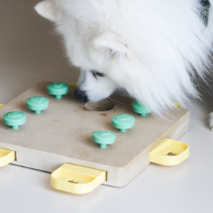 Interactive dog puzzle
