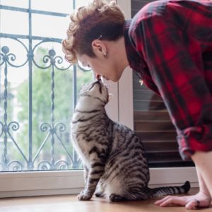 A cat and their loving owner