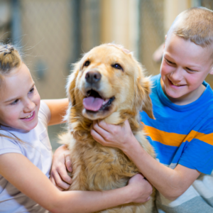 Children and their dog