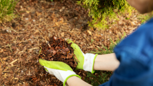 Mulch