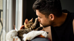 Health benefits of cat ownership