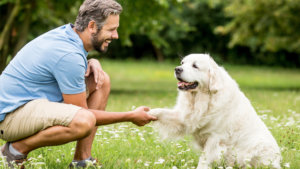 Celebrating deaf dogs